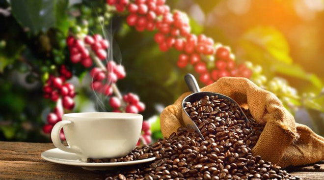 caffe-a-basso-impatto-ambientale